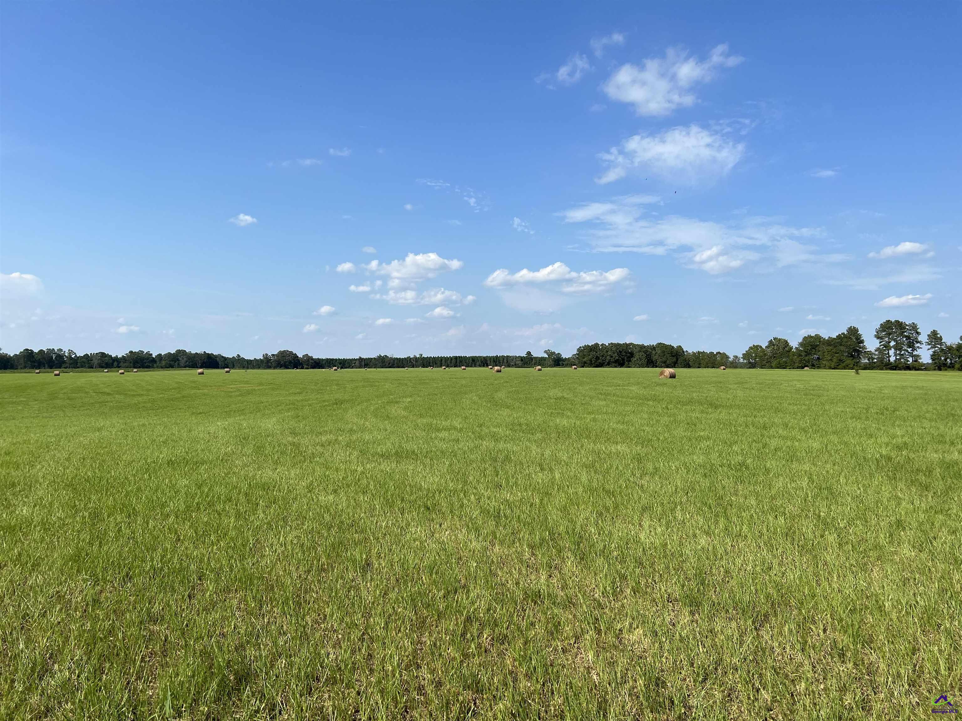 Red Dog Farm Road Cochran, GA 31014 - Photo 10 of 11