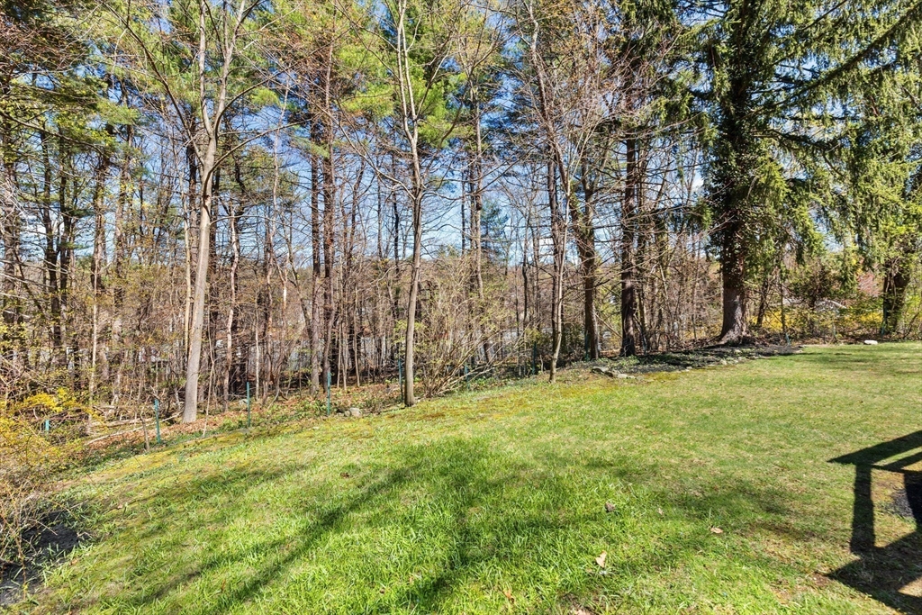 47 Wood Street Lexington, MA 02421 - Photo 19 of 20