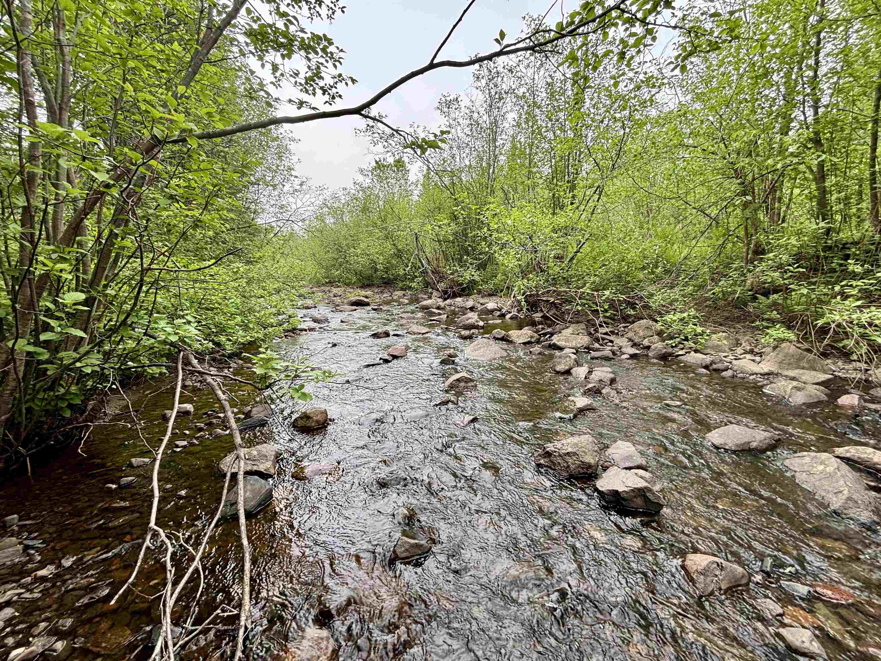 3378 Rock Road Silver Bay, MN 55614 - Photo 1 of 18 View of nature
