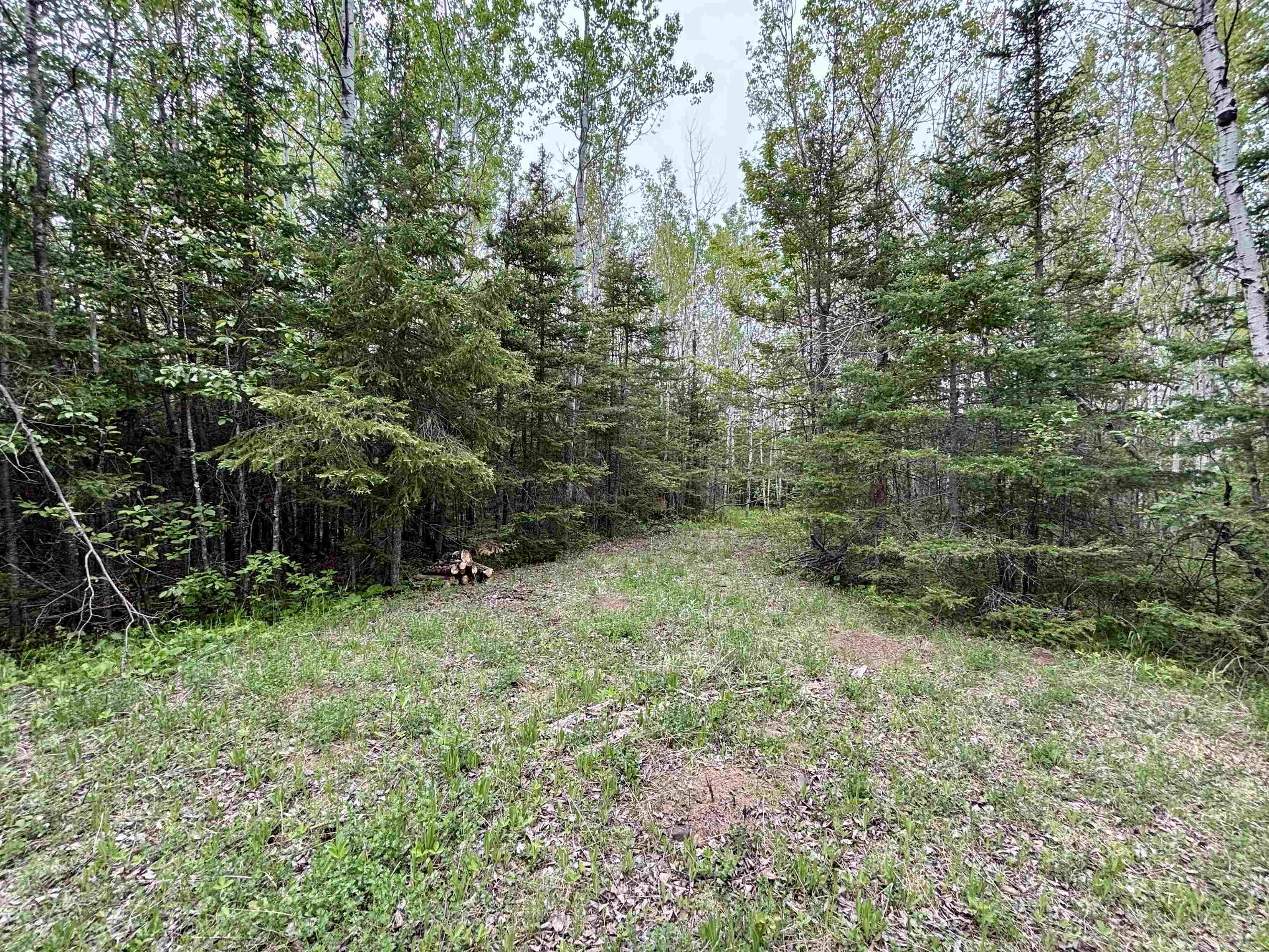 3378 Rock Road Silver Bay, MN 55614 - Photo 12 of 18 View of wooded area