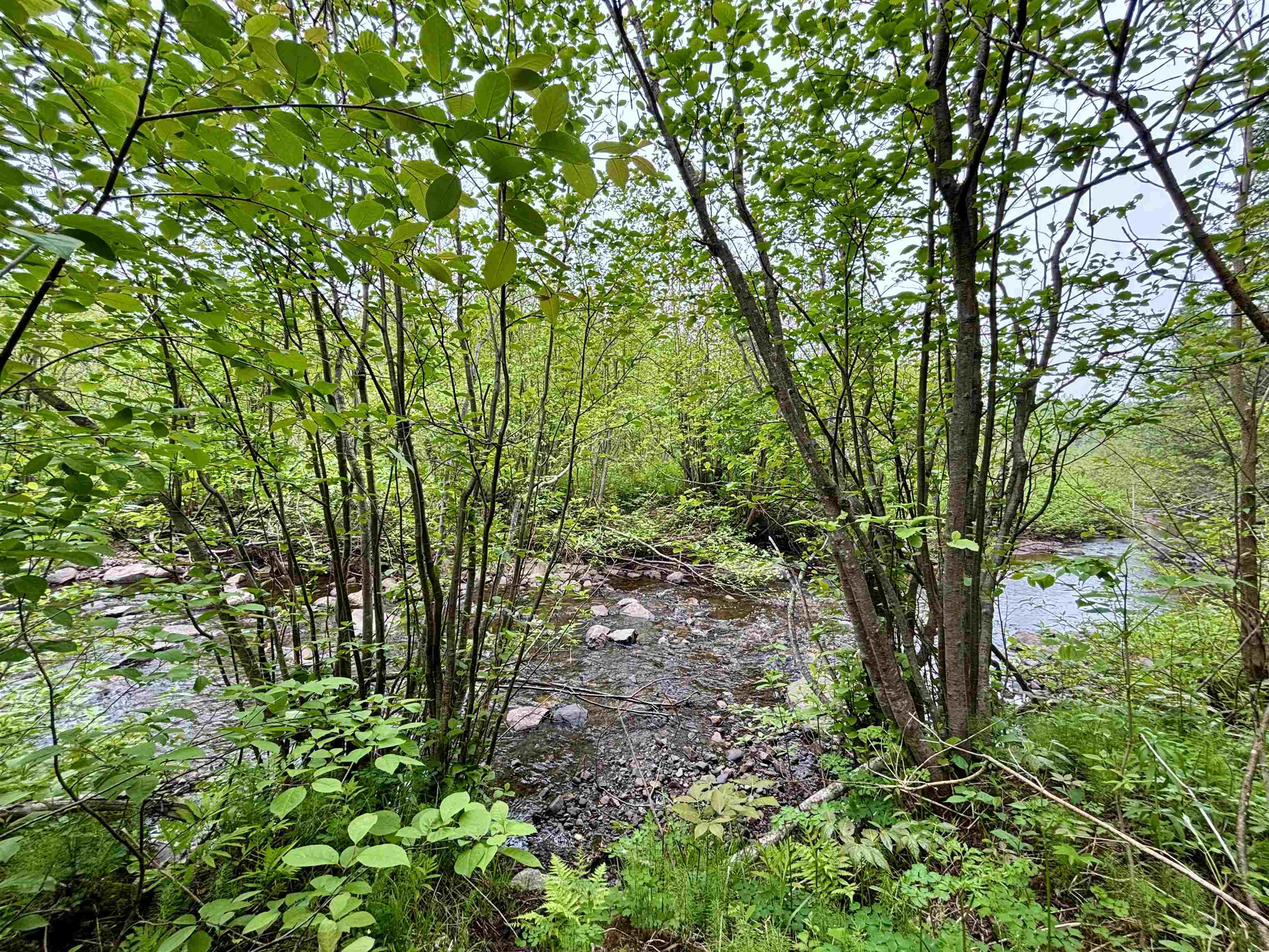 3378 Rock Road Silver Bay, MN 55614 - Photo 13 of 18 View of nature