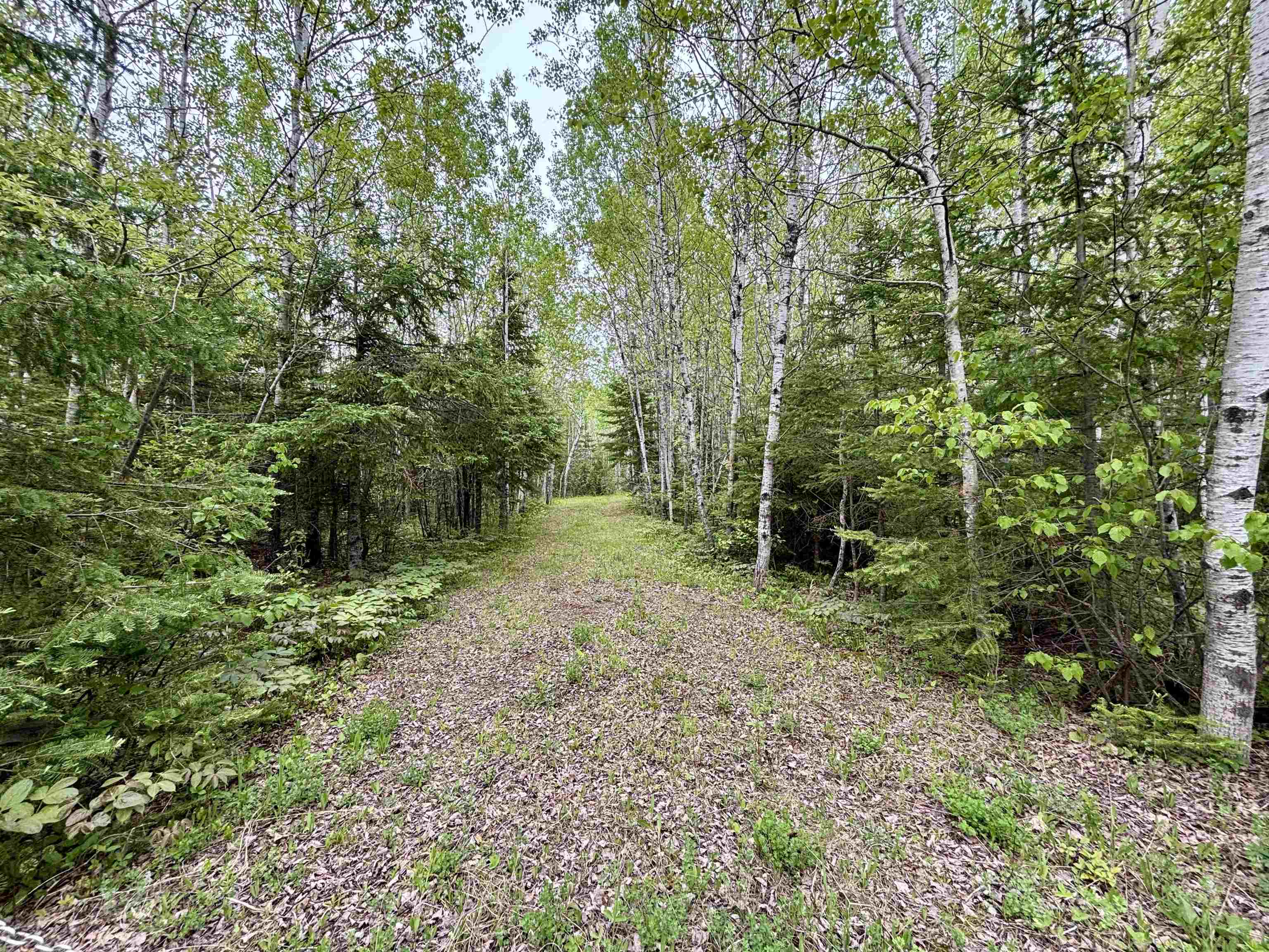 3378 Rock Road Silver Bay, MN 55614 - Photo 16 of 18 View of yard with a wooded view
