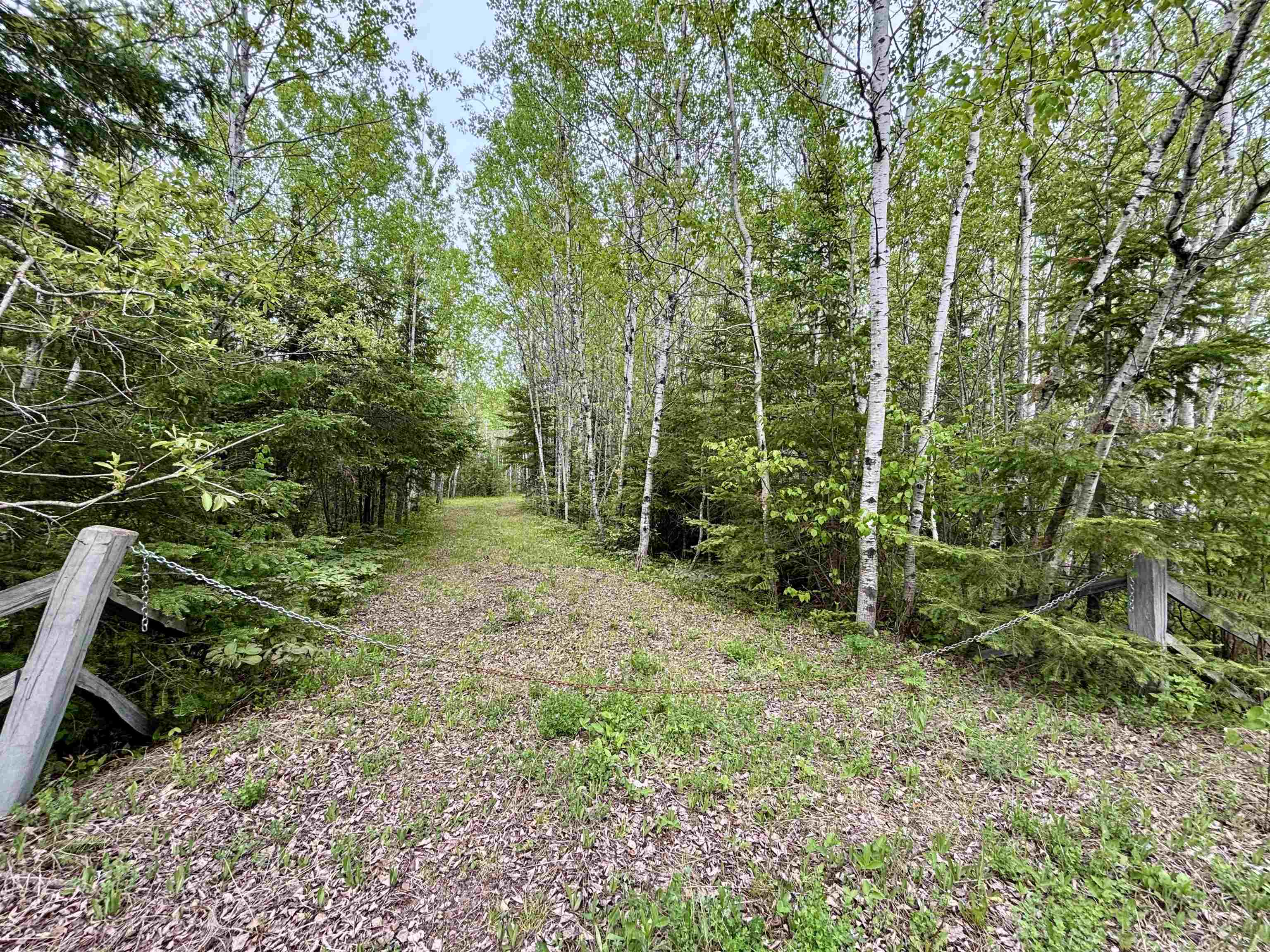 3378 Rock Road Silver Bay, MN 55614 - Photo 9 of 18 View of yard