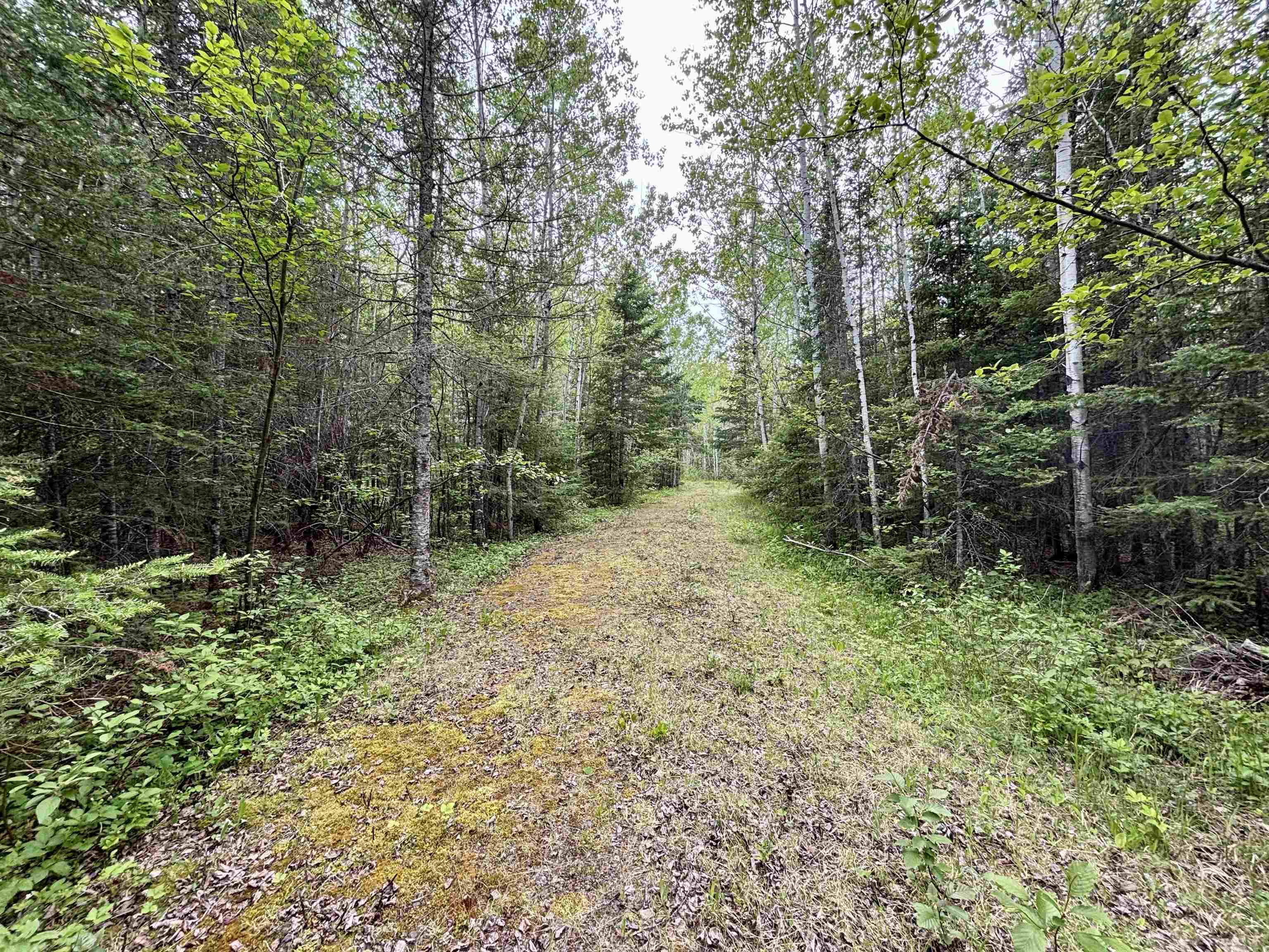3378 Rock Road Silver Bay, MN 55614 - Photo 10 of 18 View of street with a view of trees