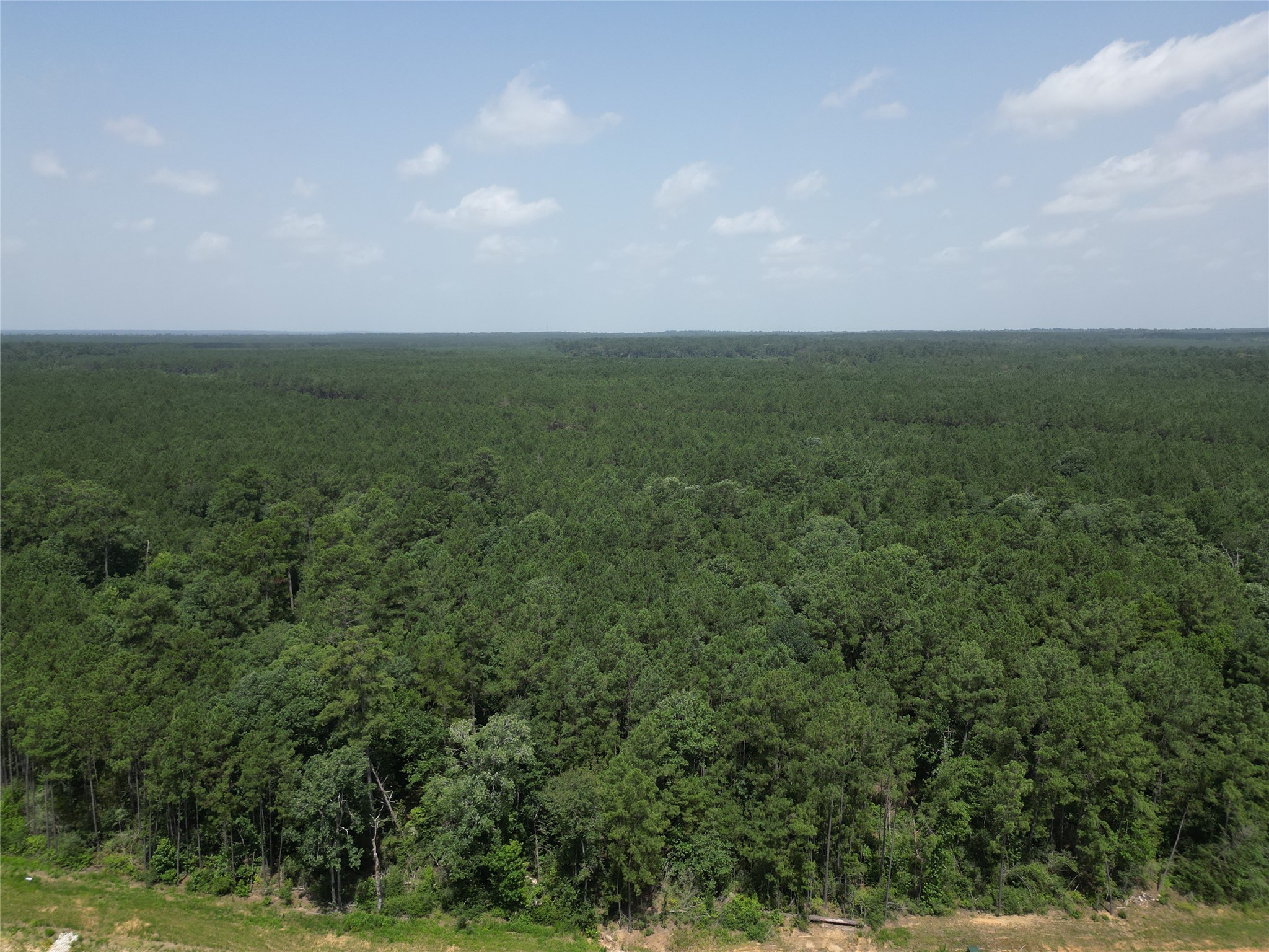 15884 Ridge Oak Road Willis, TX 77378 - Photo 6 of 24