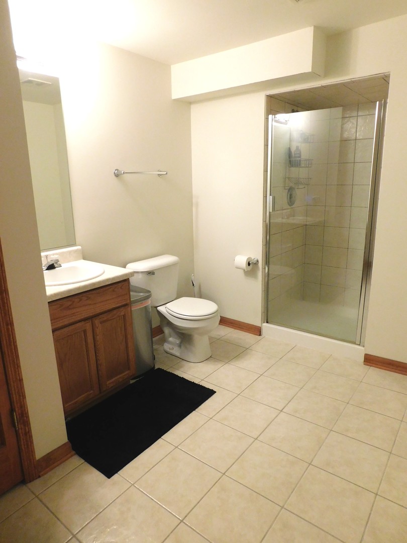 551 Goodwin Drive Bolingbrook, IL 60440 - Photo 16 of 26