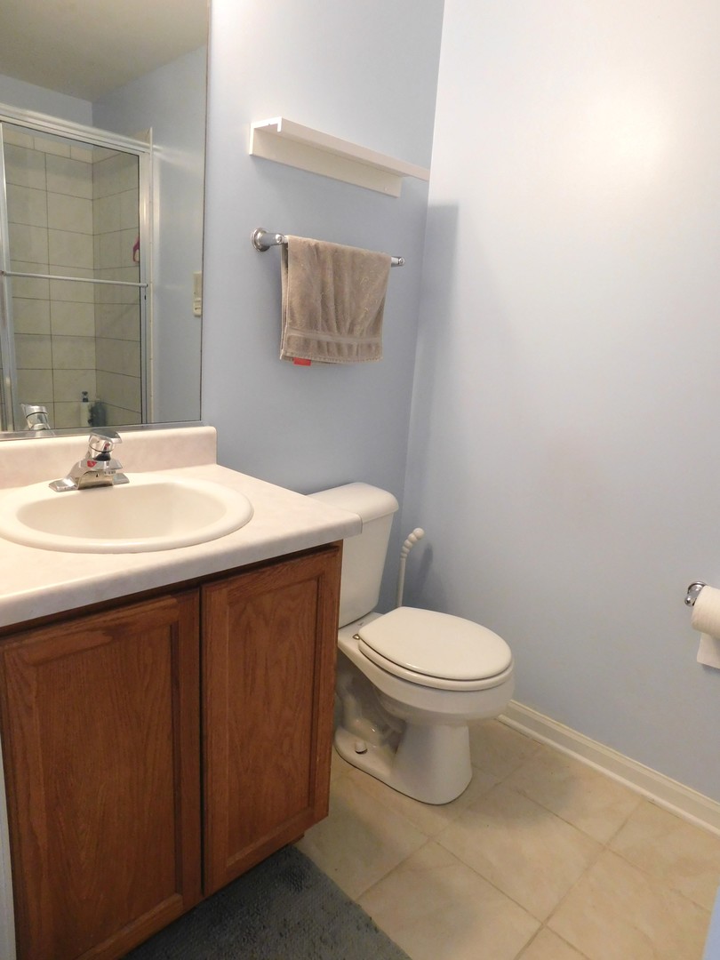 551 Goodwin Drive Bolingbrook, IL 60440 - Photo 23 of 26