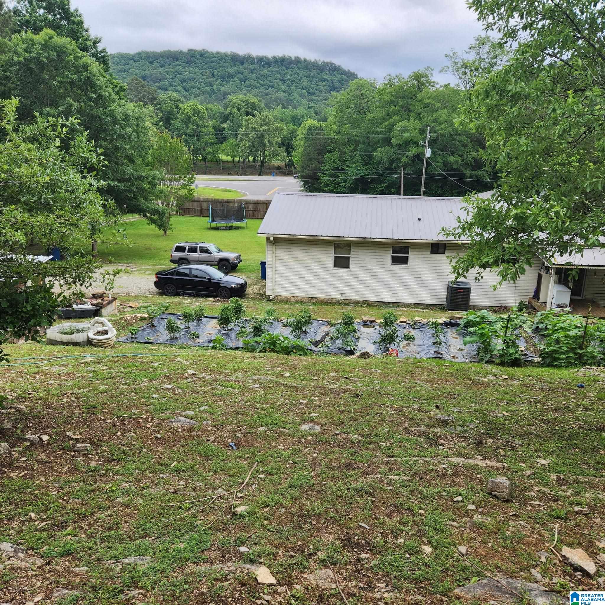 18981 Remlap Drive Remlap, AL 35133 - Photo 3 of 34