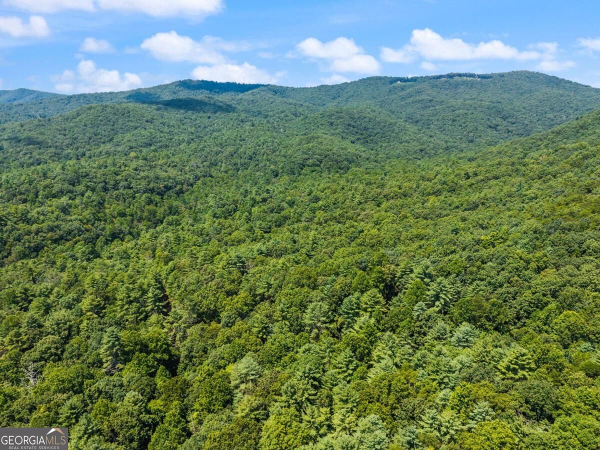 2 A Stevens Ridge Road Ellijay, GA 30540 - Photo 22 of 34 Gallery Image 22