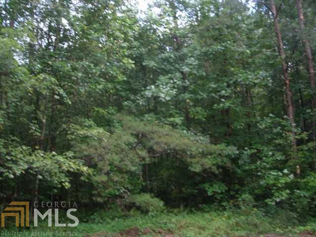 0 East Ridge Lane, Unit 9 Ellijay, GA 30536 - Photo 1 of 1 a view of a forest with a tree