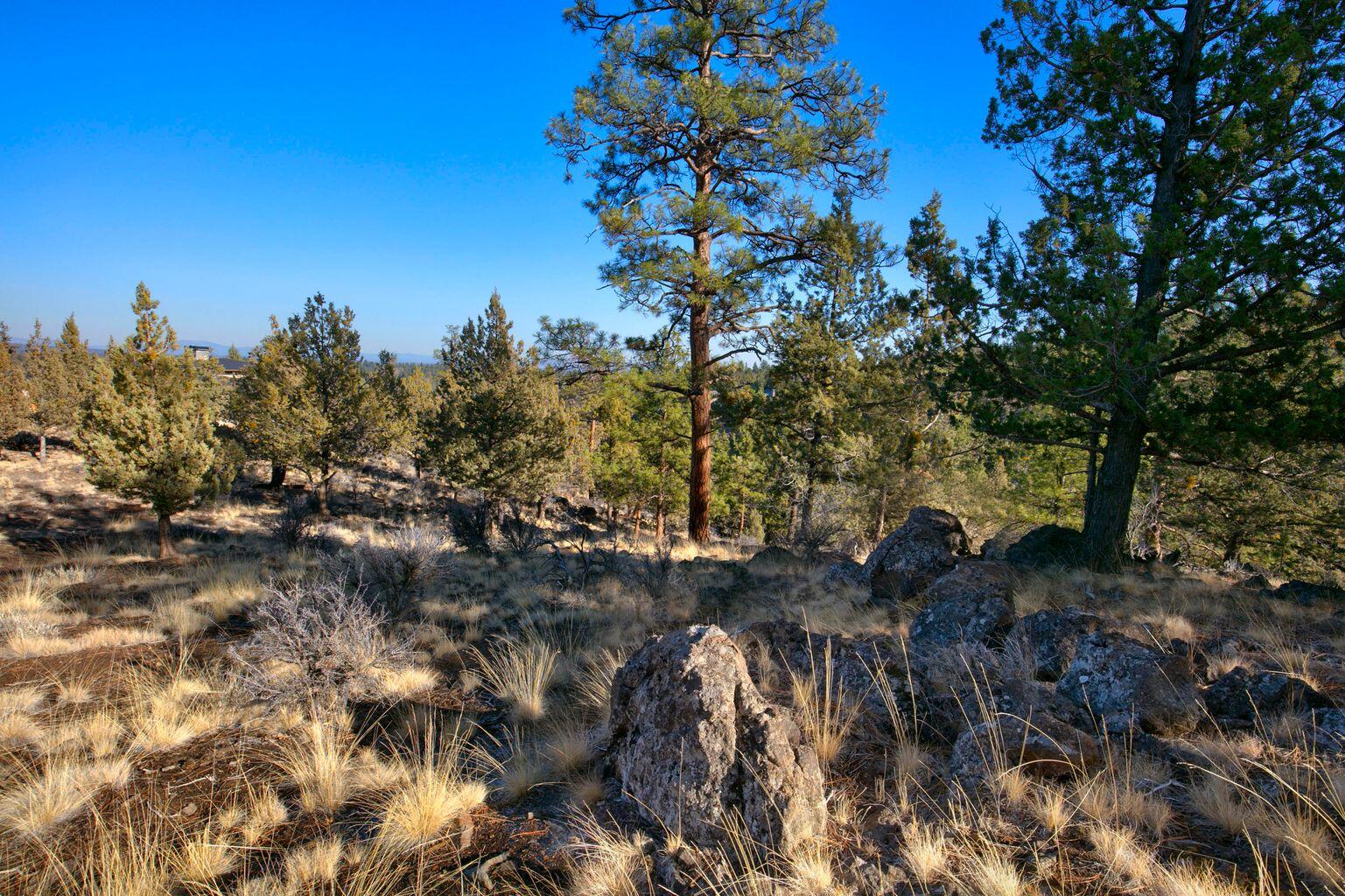 1584 Northwest Wild Rye Circle Bend, OR 97703 - Photo 10 of 30 20201201165503330447000000-o