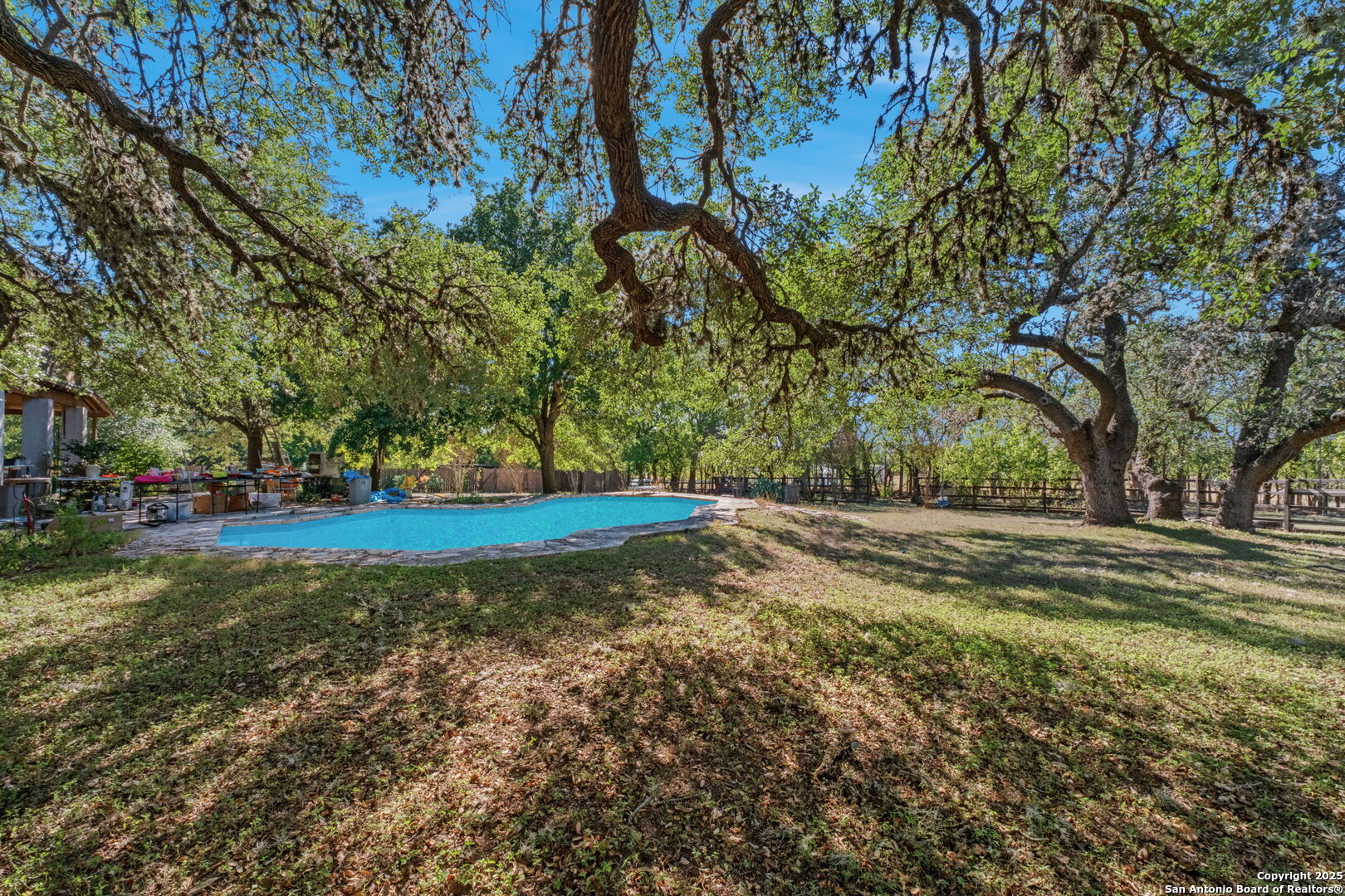 24 Pfeiffer Road Boerne, TX 78006 - Photo 14 of 22 a view of a tree in the middle of a yard