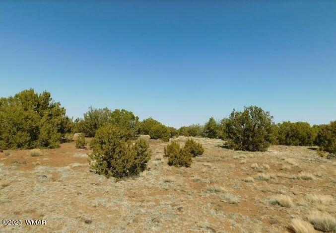 82 County Road Concho, AZ 85924 - Photo 2 of 5