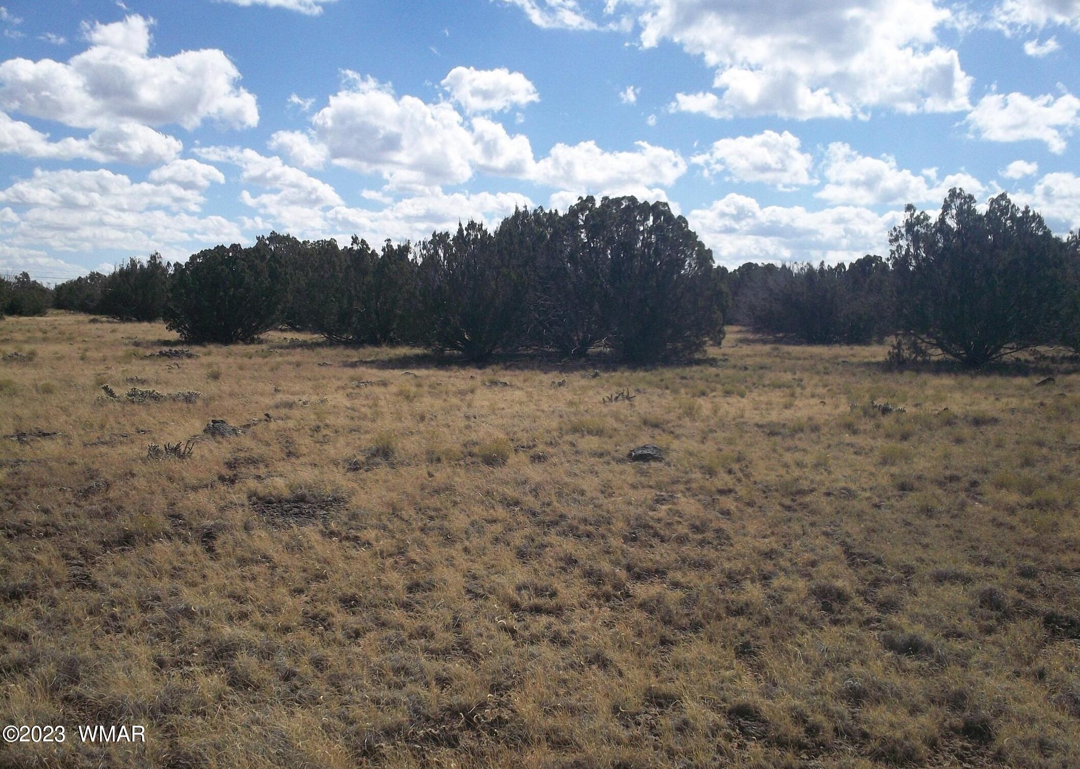 82 County Road Concho, AZ 85924 - Photo 4 of 5