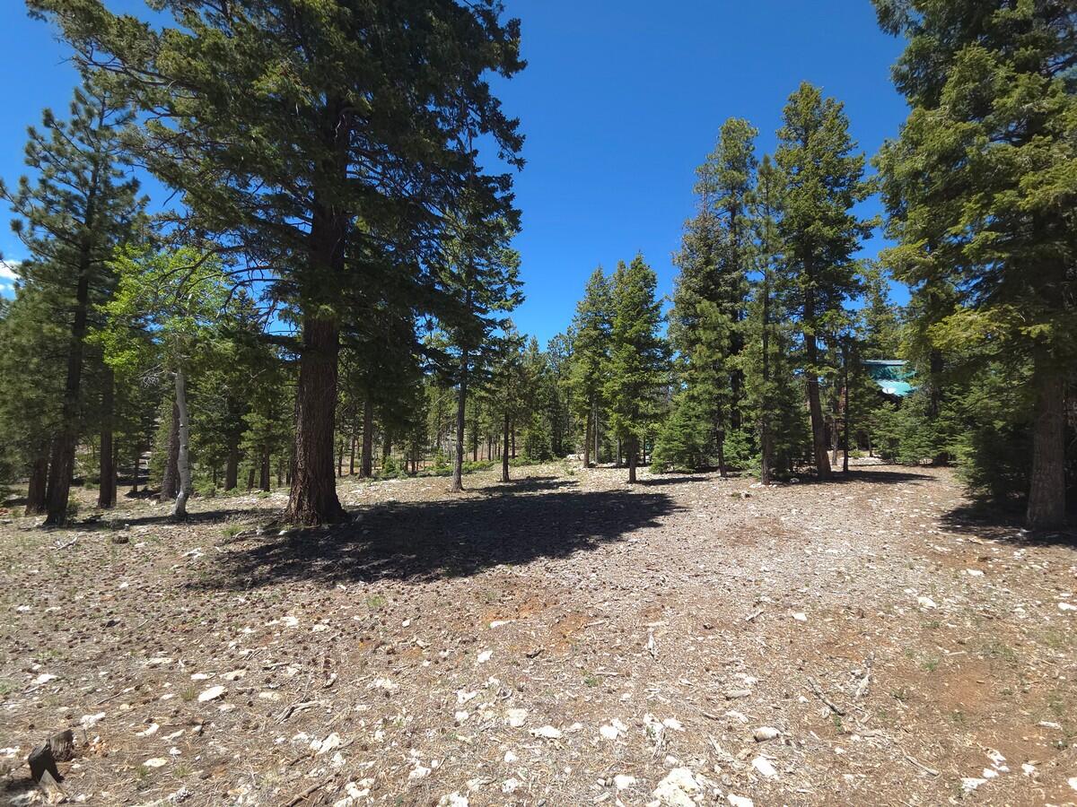 95 East Rim Road Duck Creek Village, UT 84762 - Photo 42 of 49 National Forest