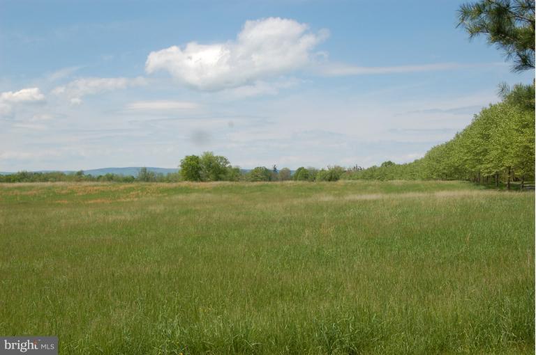1353 Rokeby Road Upperville, VA 20184 - Photo 17 of 30 Front hay field