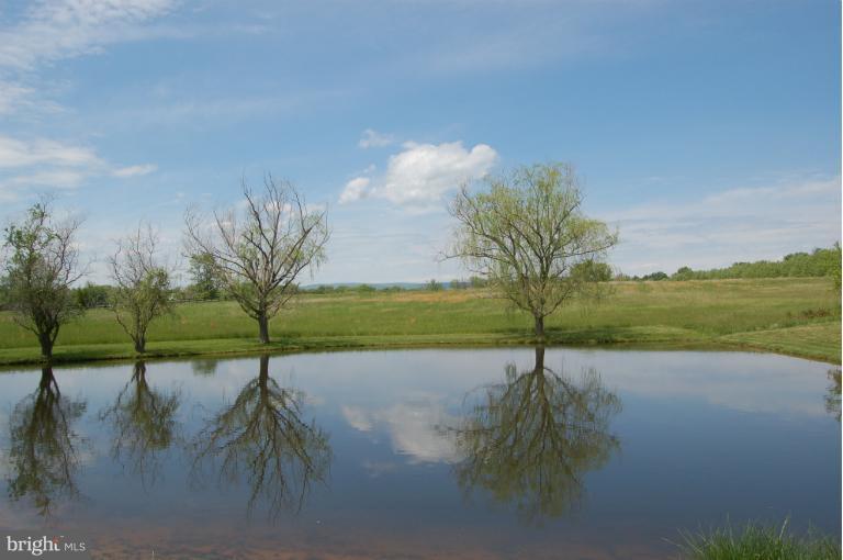 1353 Rokeby Road Upperville, VA 20184 - Photo 22 of 30 Spring fed pond