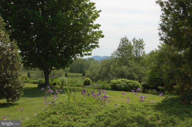 1353 Rokeby Road Upperville, VA 20184 - Photo 26 of 30 Garden