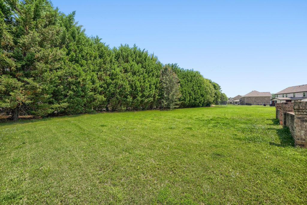345 Masters Club Boulevard Hampton, GA 30228 - Photo 29 of 30 a view of a garden