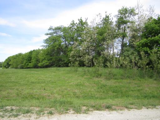a view of a field with trees in the background