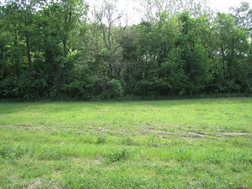 1986 North 2919th Road Ottawa, IL 61350 - Photo 5 of 9 a view of a green yard