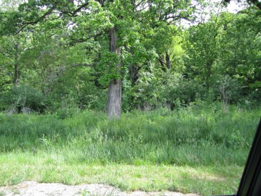 1986 North 2919th Road Ottawa, IL 61350 - Photo 6 of 9 a view of a lush green forest