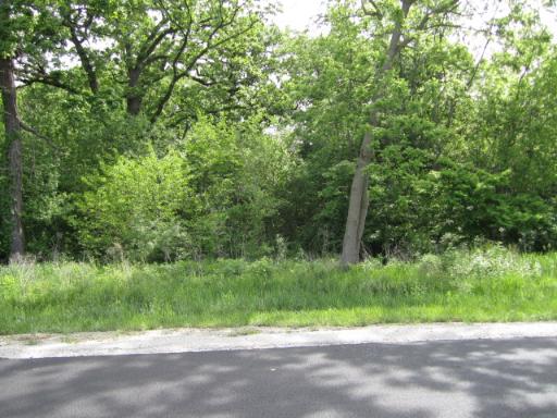 1986 North 2919th Road Ottawa, IL 61350 - Photo 8 of 9 a view of a street with a small yard and large trees