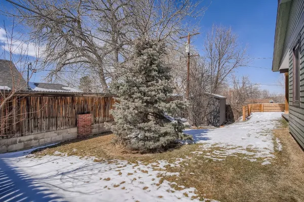 a view of a yard covered in snow