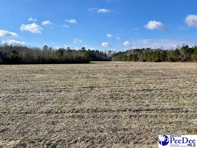 Tbd Cash Road Johnsonville, SC 29555 - Photo 1 of 1 Gallery Image 1