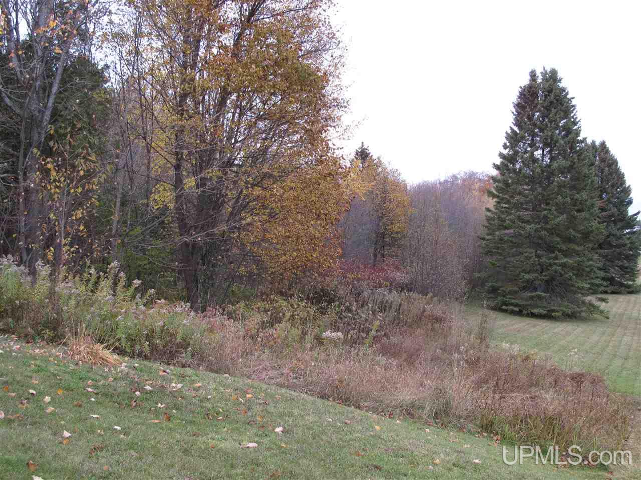 21851 Ridge Road Grand Marais, MI 49839 - Photo 18 of 29