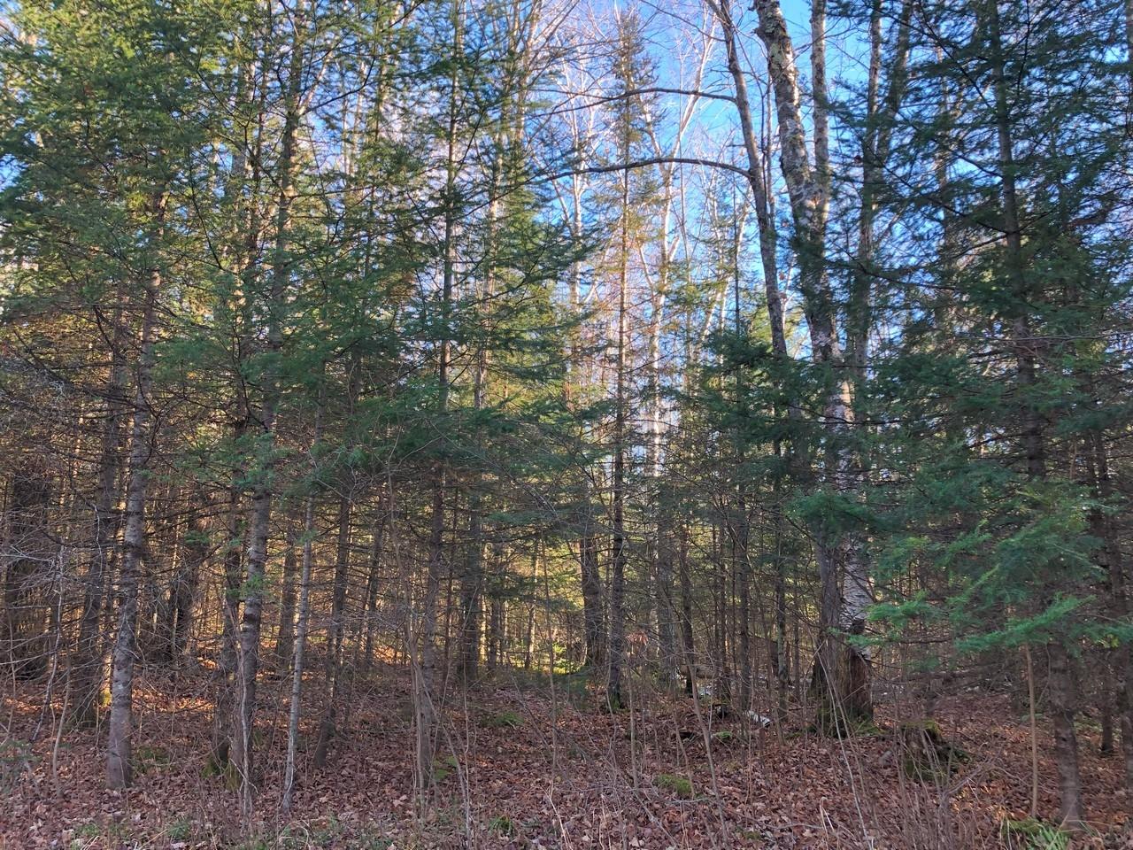 On East Bay Road, Unit LOT 2 Presque Isle, WI 54557 - Photo 18 of 21 Gallery Image 18