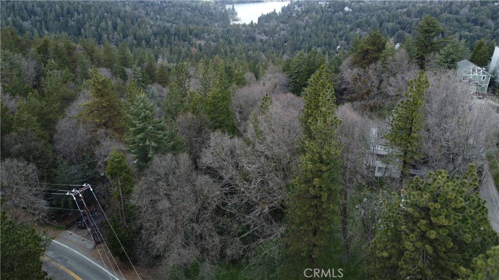 757 Scenic View Drive Crestline, CA 92325 - Photo 6 of 6