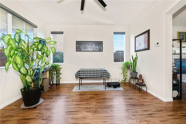 a view of a workspace with wooden floor and a potted plant