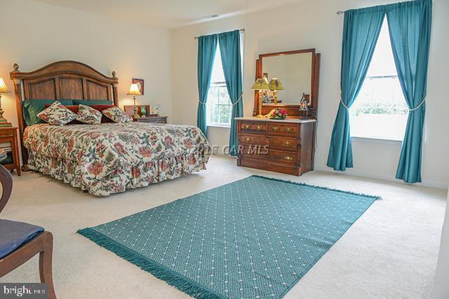9064 Morgan's Ridge Delmar, MD 21875 - Photo 49 of 60