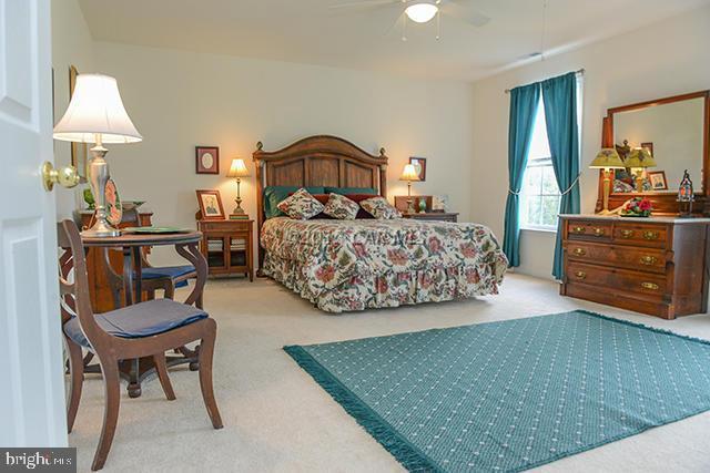 9064 Morgan's Ridge Delmar, MD 21875 - Photo 50 of 60