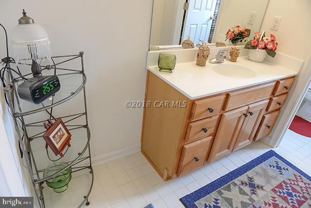 9064 Morgan's Ridge Delmar, MD 21875 - Photo 54 of 60