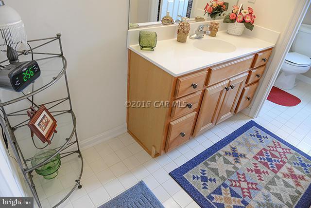 9064 Morgan's Ridge Delmar, MD 21875 - Photo 55 of 60