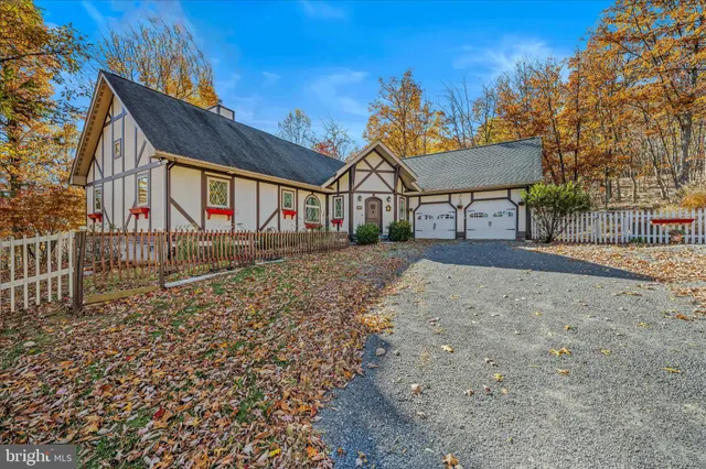 a view of a large tree