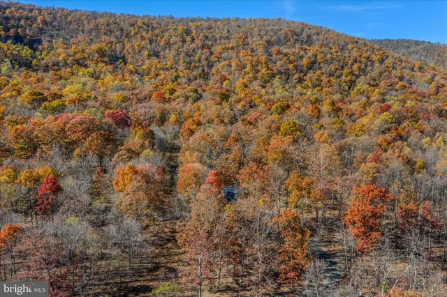 a view of a large green field
