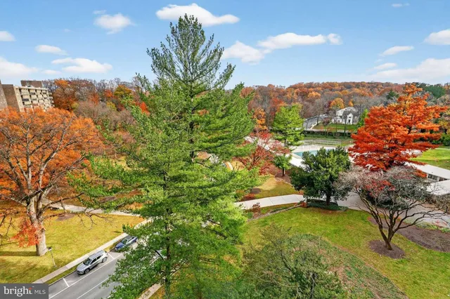 a view of a yard in front of the house