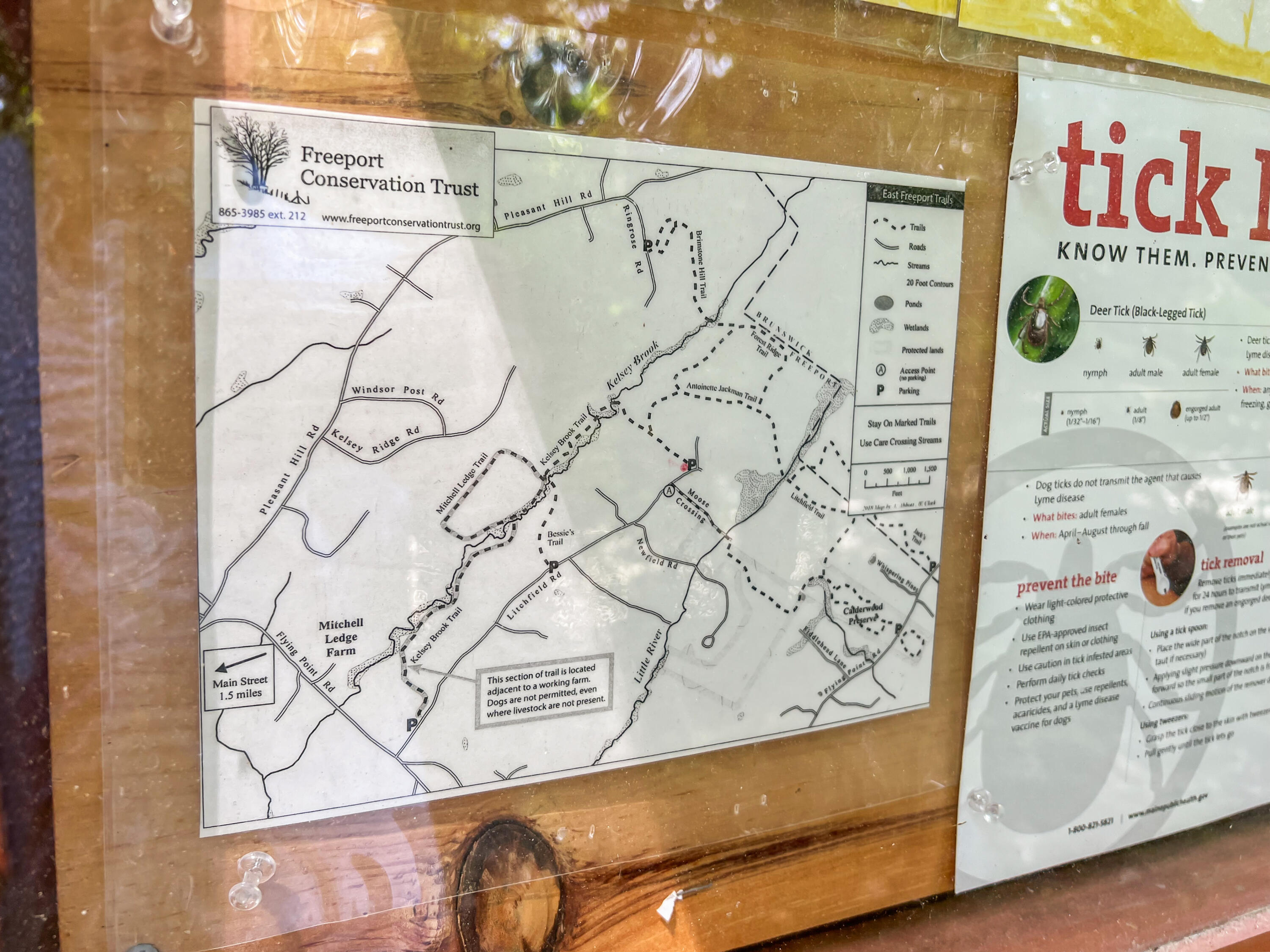 39 Newfield Road Freeport, ME 04032 - Photo 55 of 60 Trail Head Map