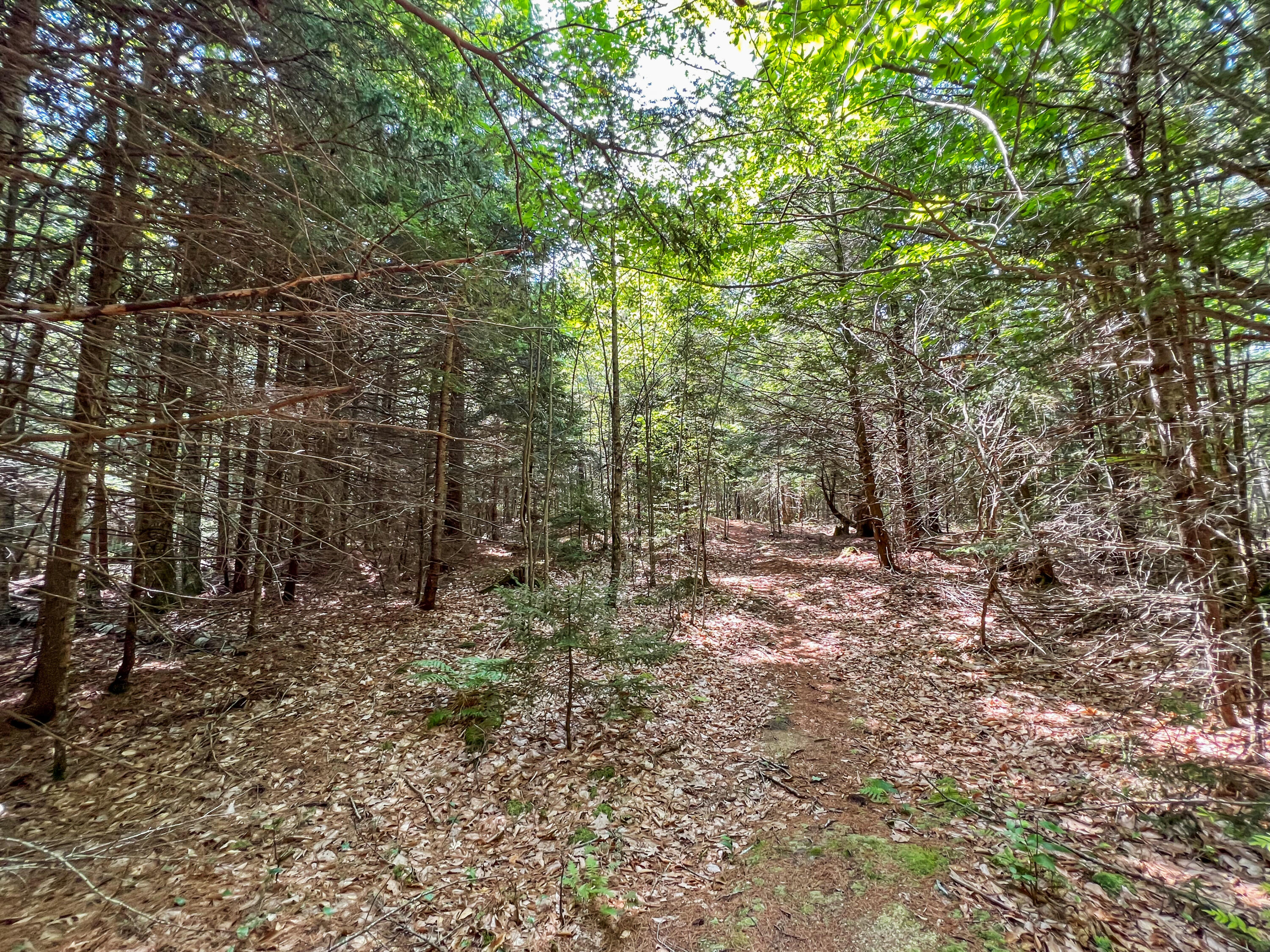 39 Newfield Road Freeport, ME 04032 - Photo 56 of 60 Conservation Land Trail