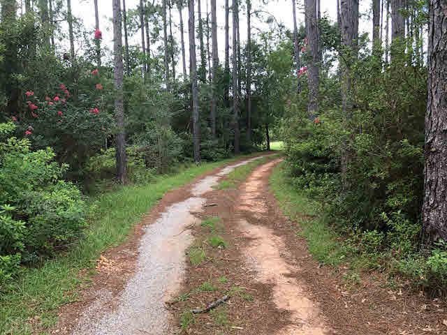 11051 Deerfoot Lane Elberta, AL 36530 - Photo 3 of 41