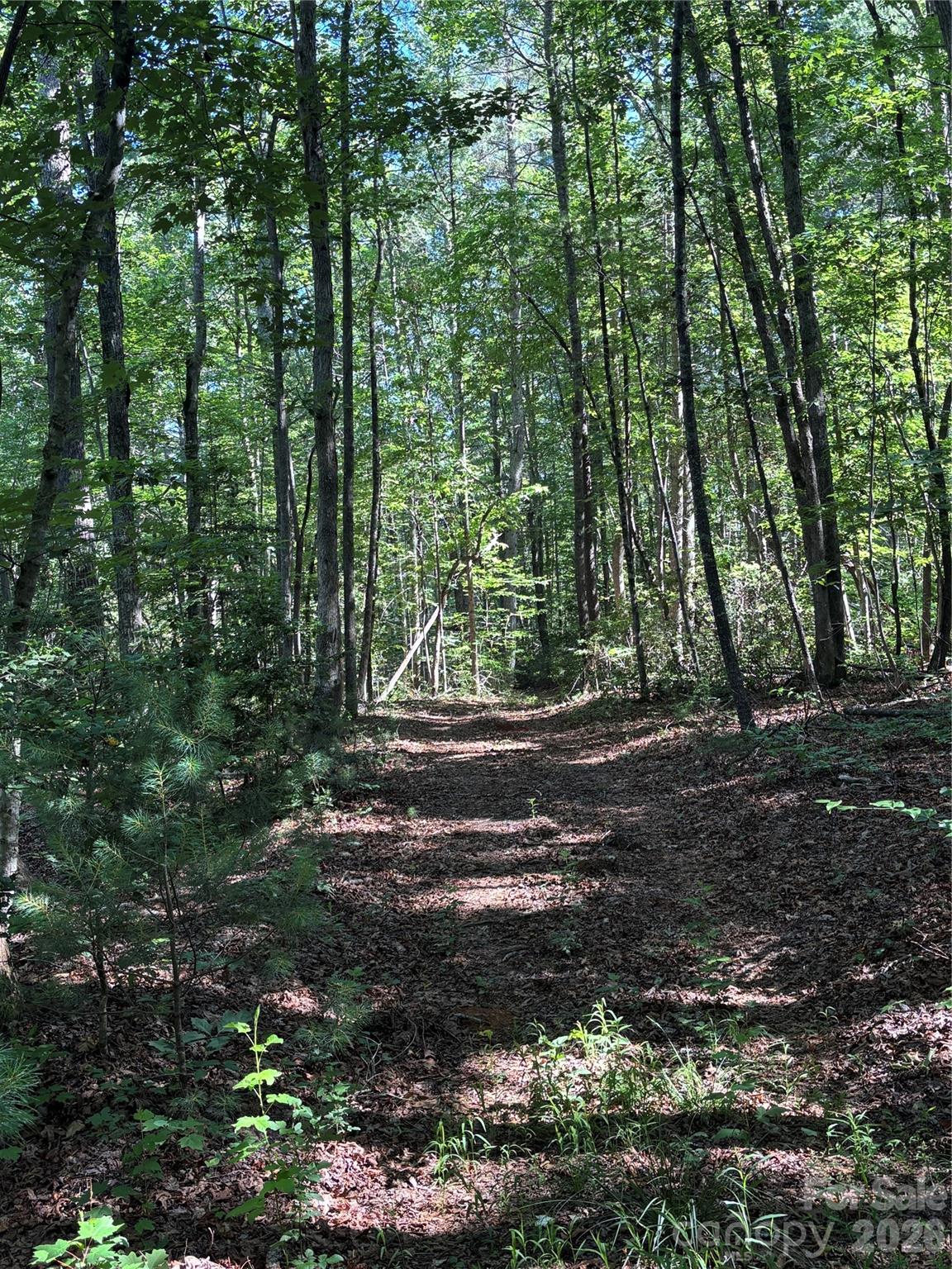 0 Stillwater Road Boomer, NC 28606 - Photo 30 of 33