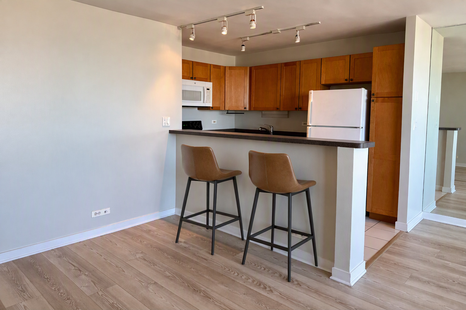 655 West Irving Park Road, Unit 2808 Chicago, IL 60613 - Photo 4 of 18 Gallery Image 4