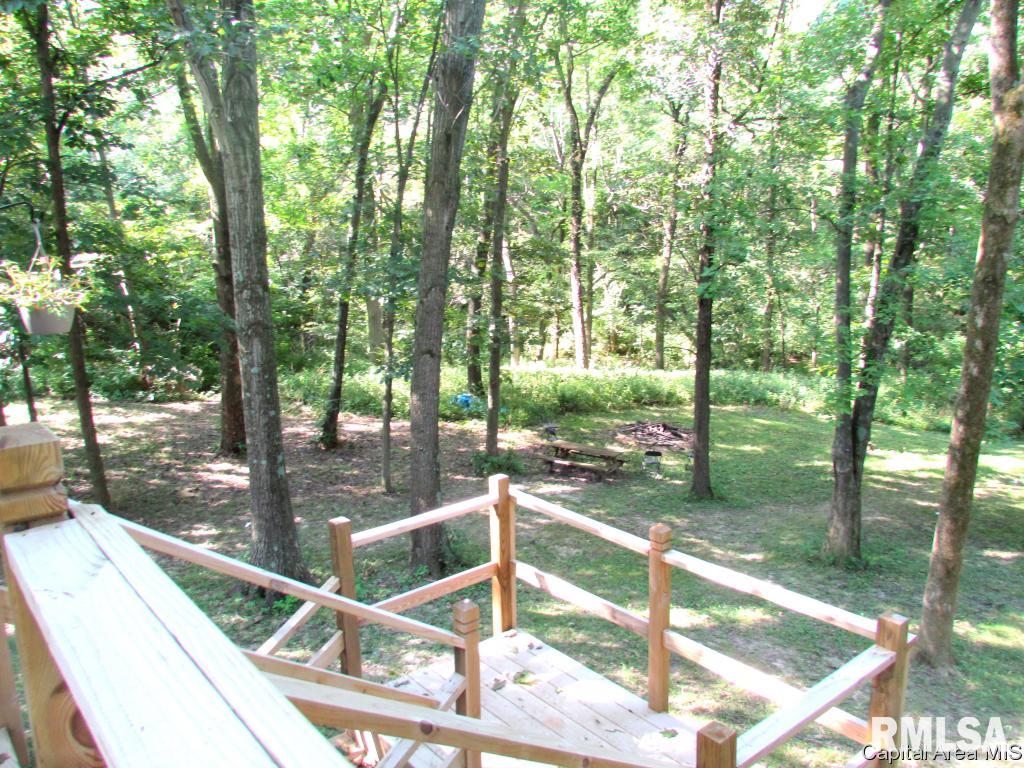 19463 Hunt Road Petersburg, IL 62675 - Photo 21 of 25 Gallery Image 21