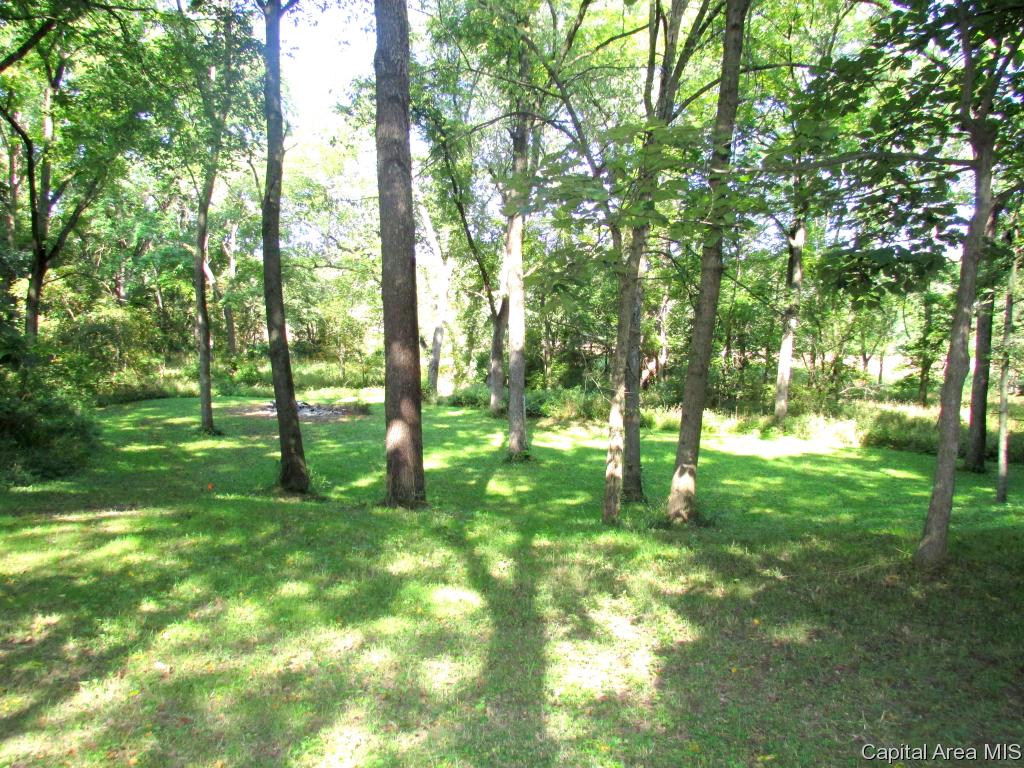 19463 Hunt Road Petersburg, IL 62675 - Photo 22 of 25 Gallery Image 22