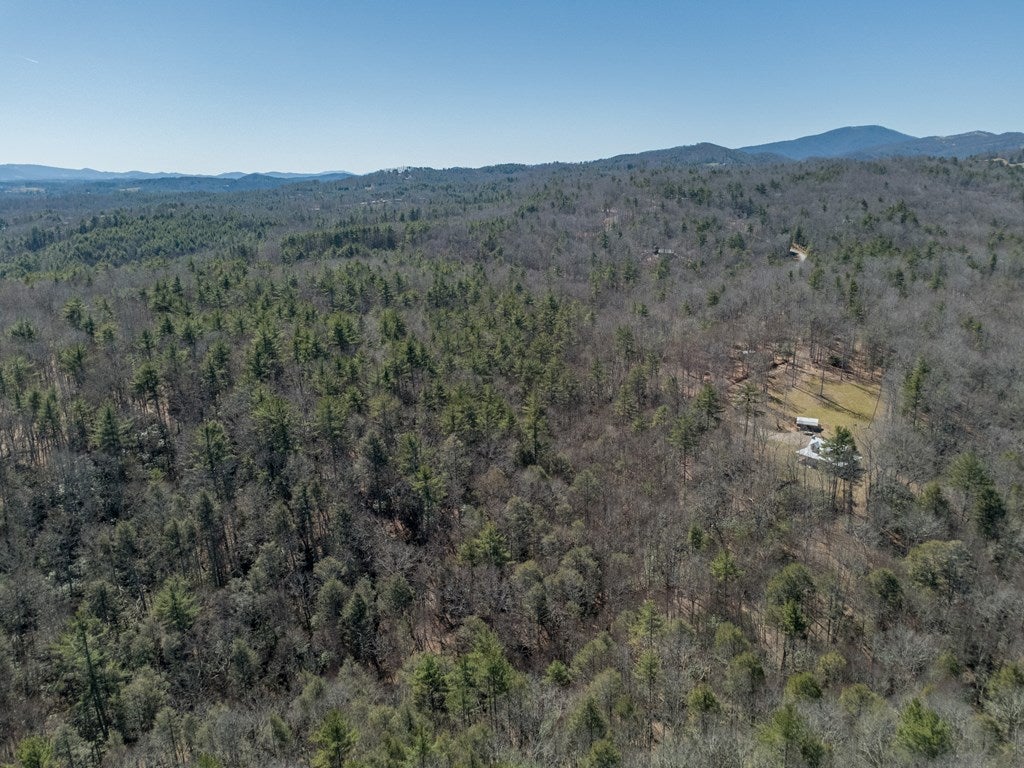 Lot 12 Ridge Line Trail, Unit 12 Independence, VA 24348 - Photo 39 of 66 Gallery Image 39