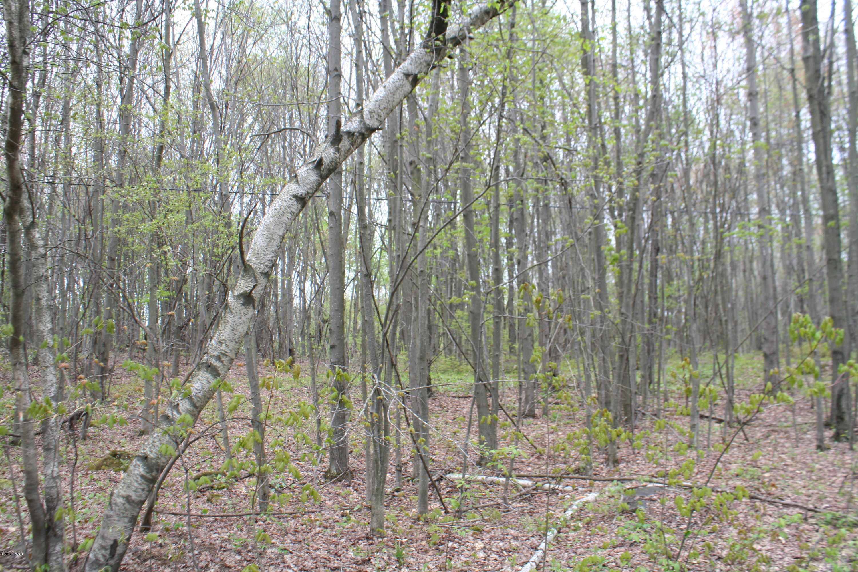 249 North Smith Road Waymart, PA 18472 - Photo 4 of 9