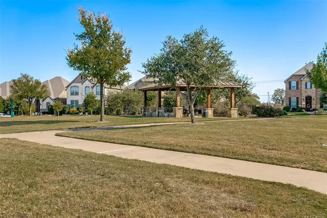 a view of large trees with a big yard